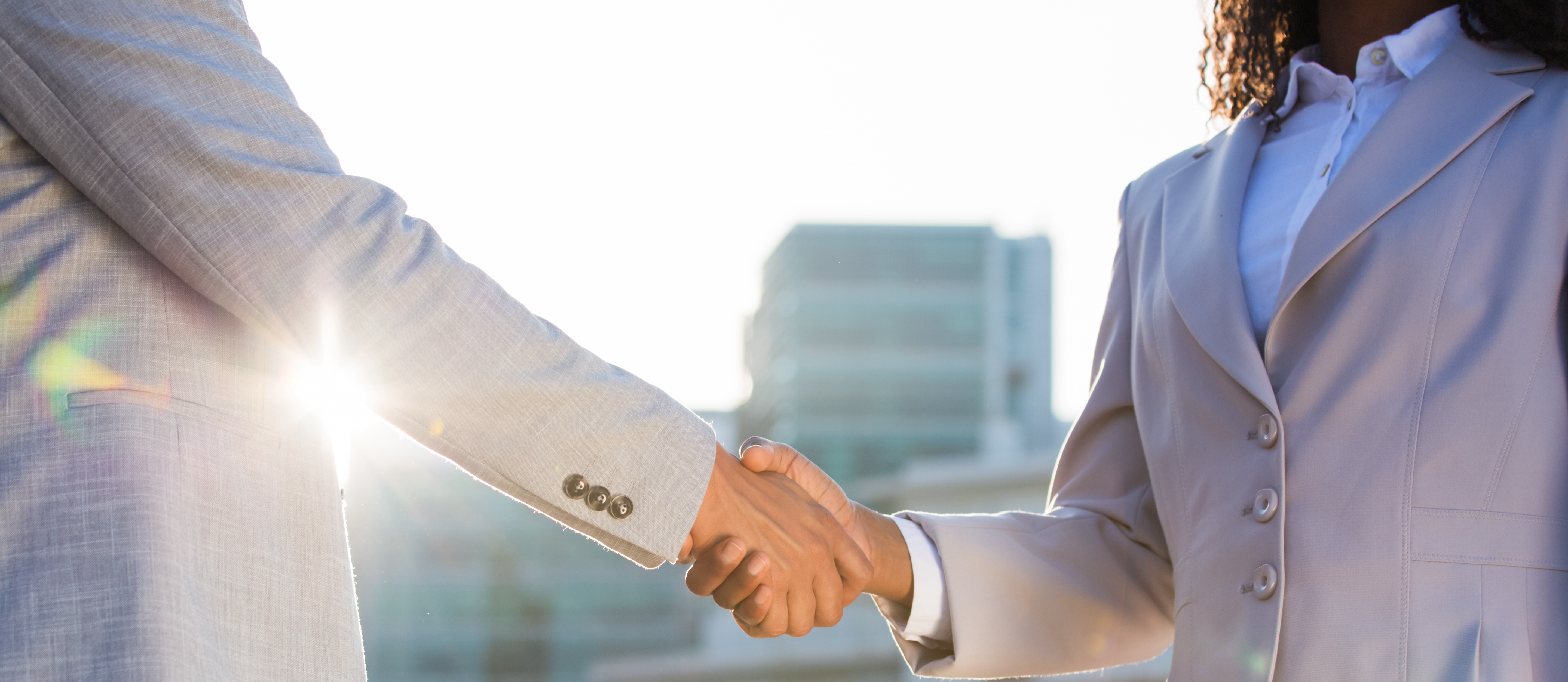 people shaking hands